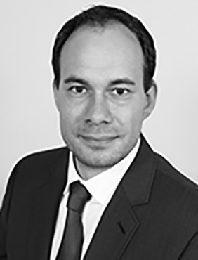 Herr Harry von Wedelstaedt